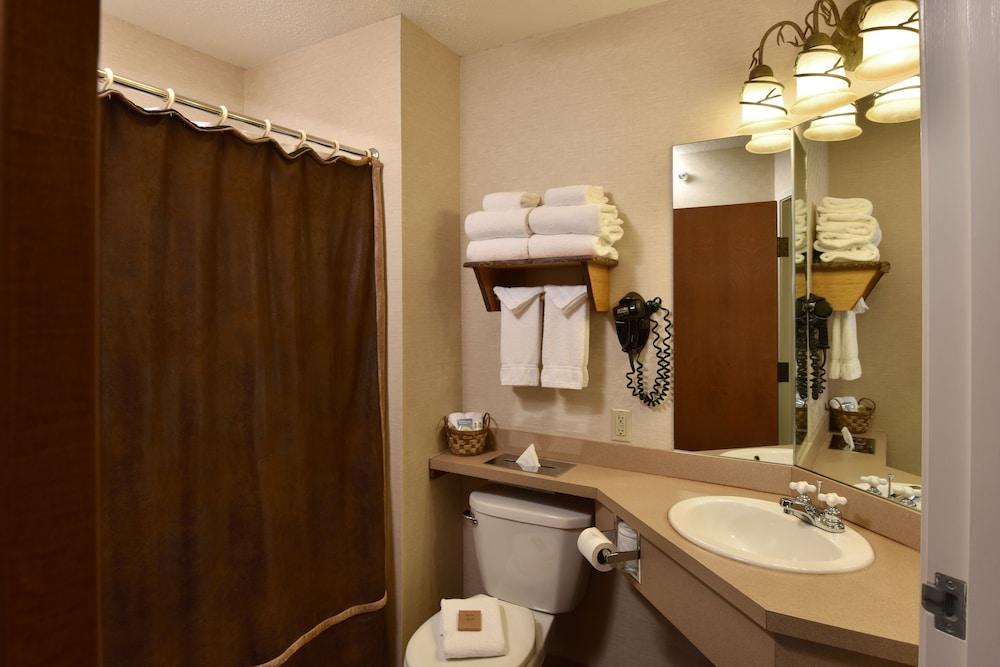 Stoney Creek Hotel St. Joseph photo 25