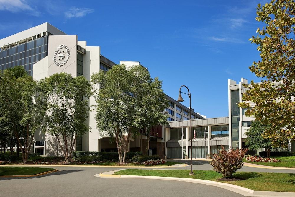 Sheraton Reston Hotel photo 38