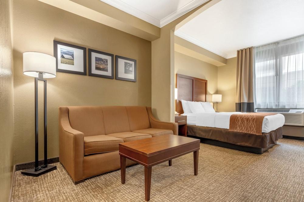 Comfort Inn Arcata - Humboldt Area photo 4