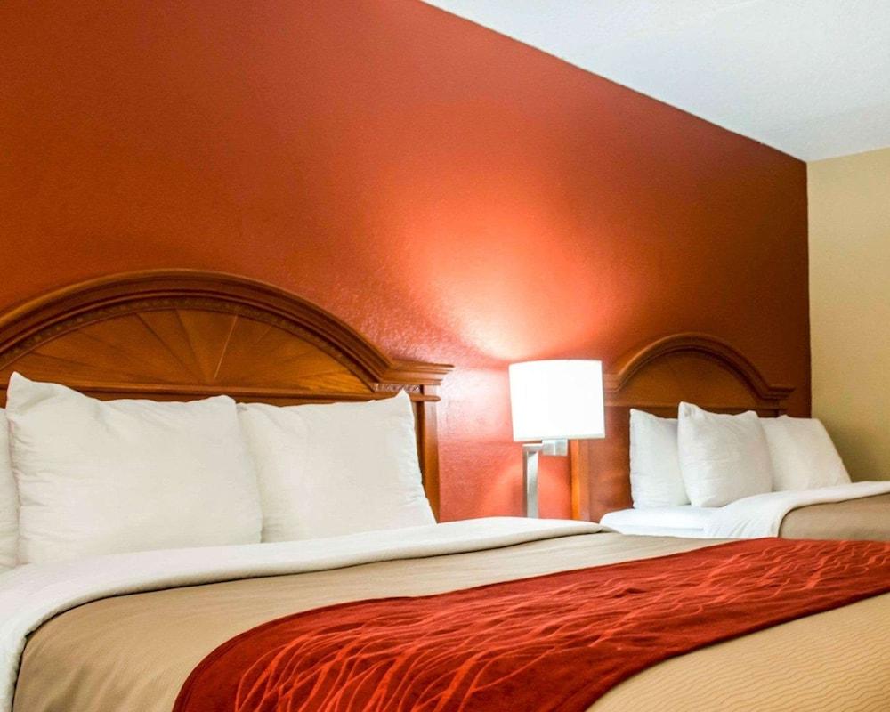 Comfort Inn & Suites photo 3