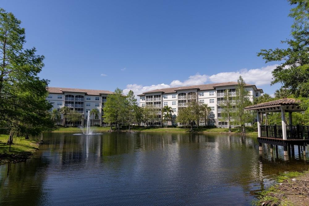 Sheraton Vistana Villages Resort Villas, I-Drive/Orlando photo 20