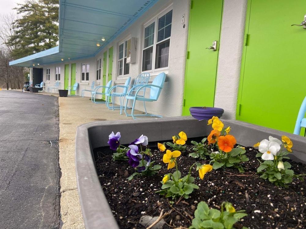 The Springs Motel photo 13