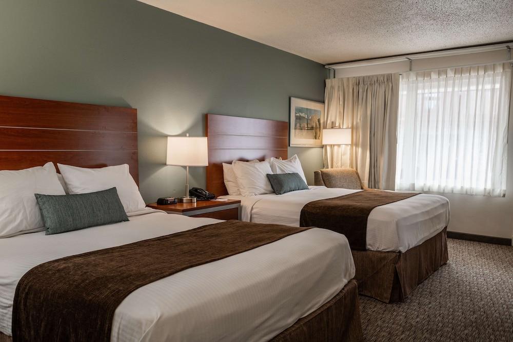Best Western Buffalo Ridge Inn photo 35