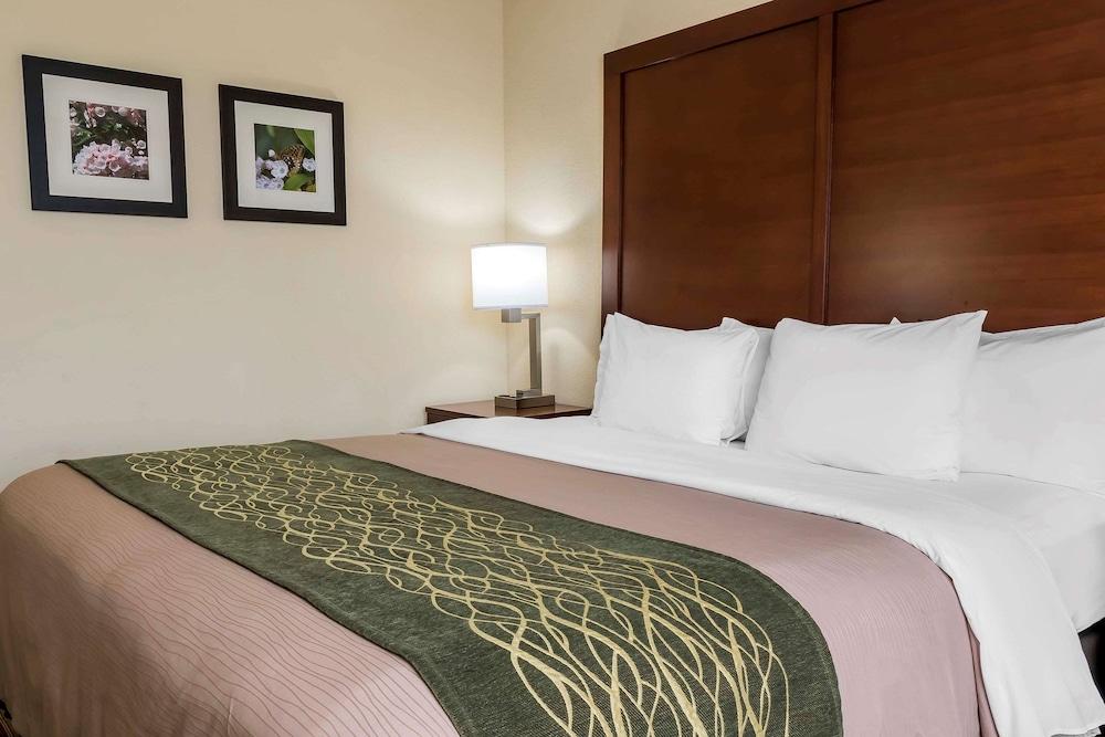 Comfort Inn - Pocono Mountains photo 20