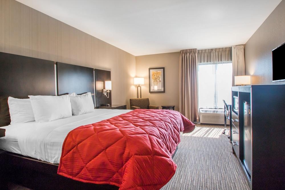 Best Western Courtview Hotel photo 25