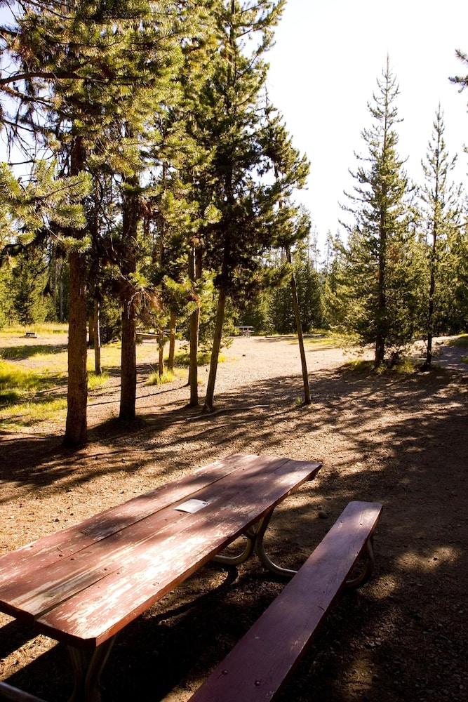 Headwaters Lodge & Cabins at Flagg Ranch photo 5