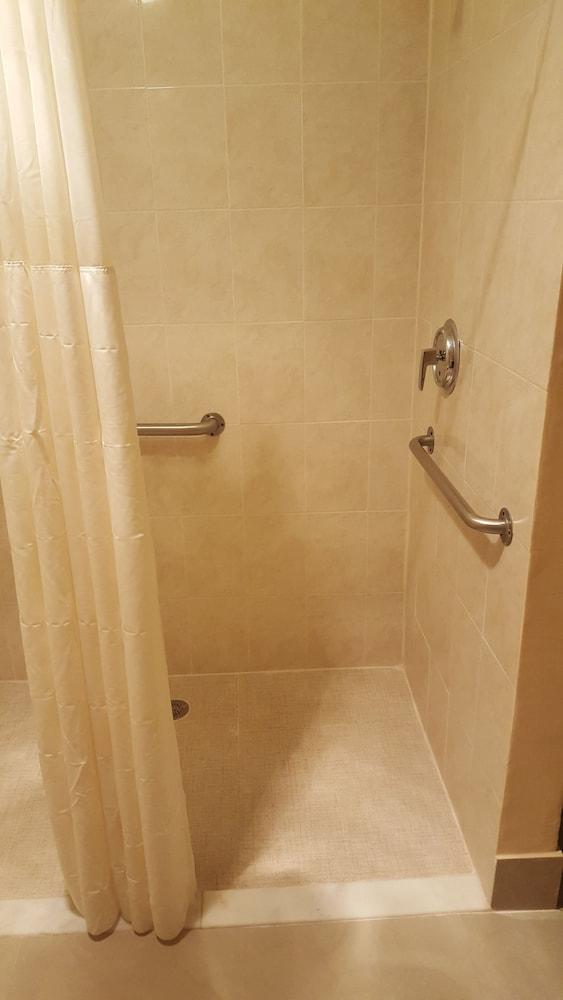 Econo Lodge Tampa near Busch Gardens photo 13