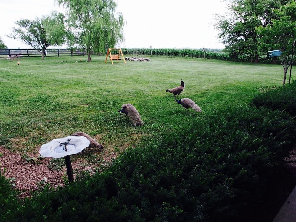 The Danville photo 5