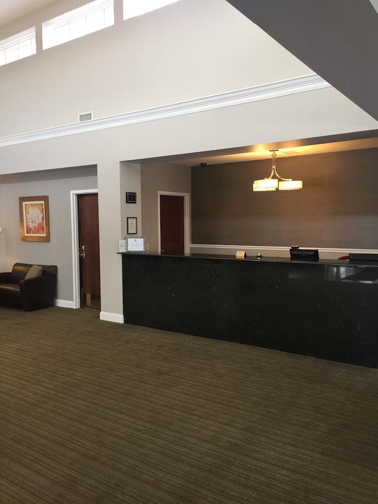 Belvedere Inn photo 14