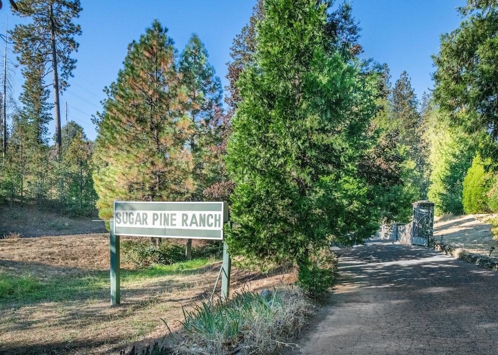 Inn at Sugar Pine Ranch photo 11