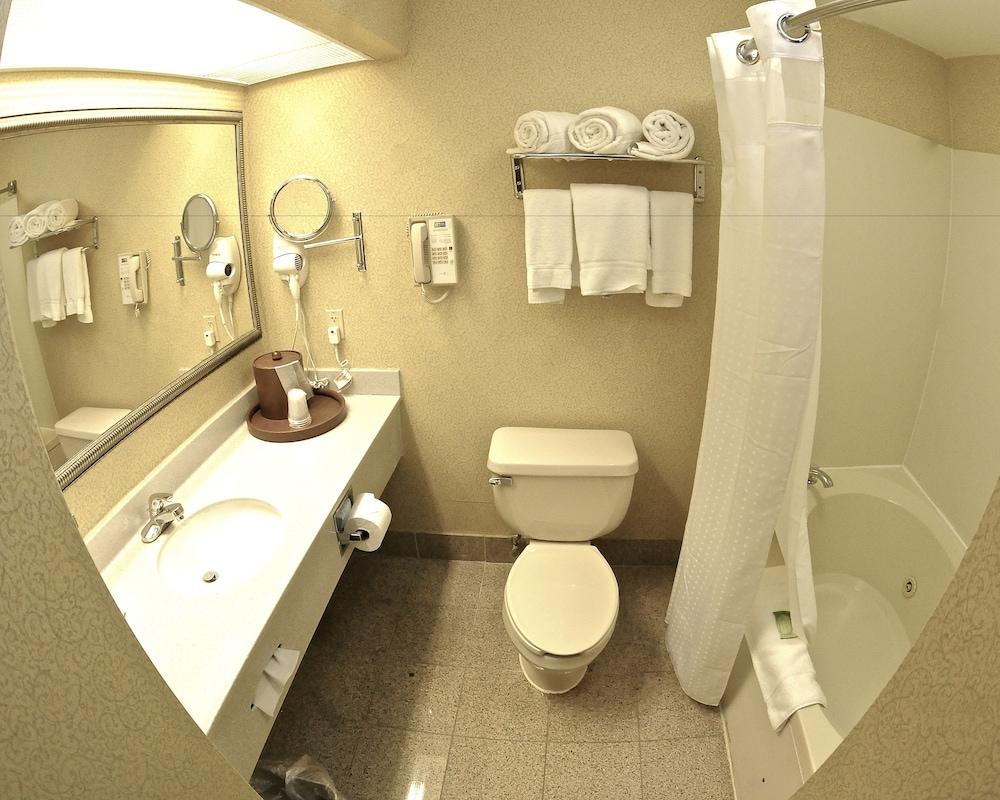 Holiday Inn Express & Suites St. Louis West - Fenton by IHG photo 23