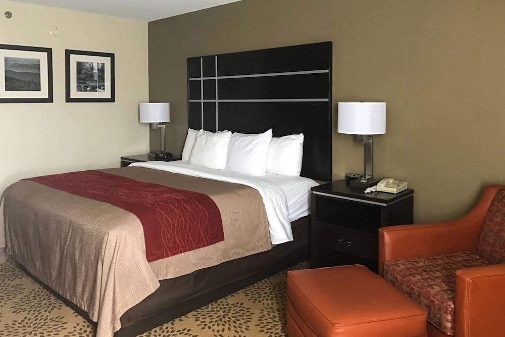 Comfort Inn North of Asheville photo 44