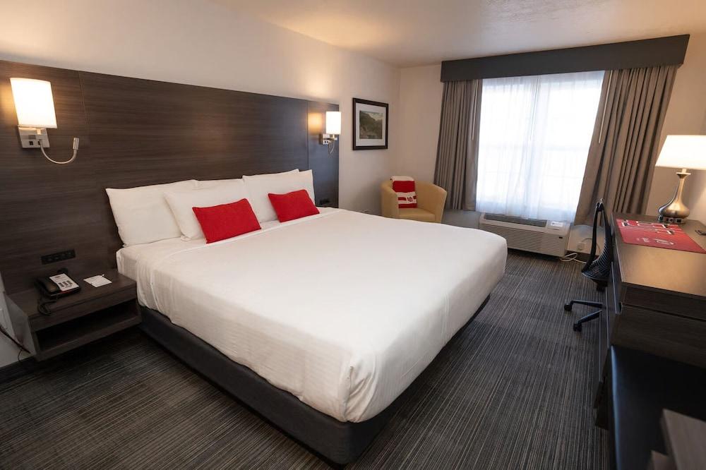 University Guest House photo 1