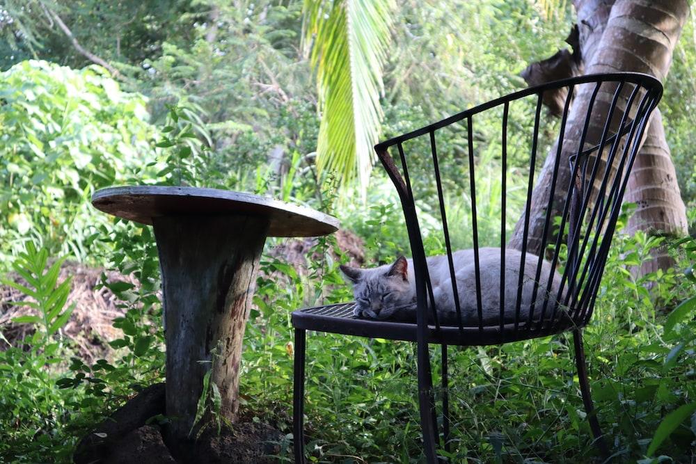 Cinderland EcoVillage - Hostel photo 12