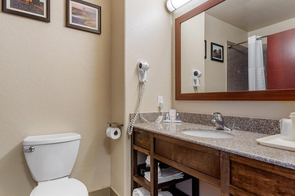 Comfort Inn & Suites Navasota photo 12