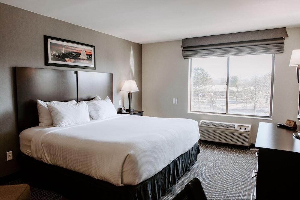 Wingate by Wyndham Chantilly / Dulles Airport photo 3