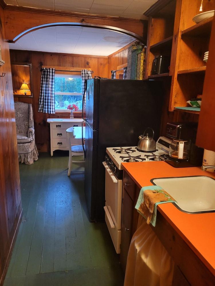 Cottage Place on Squam Lake photo 91