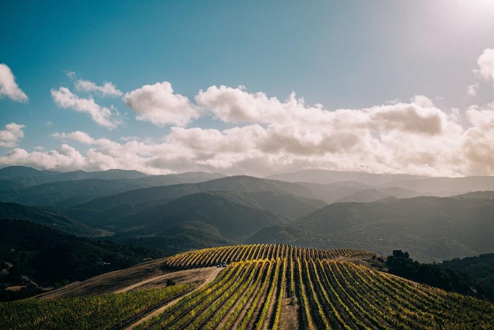 Holman Ranch Estate Vineyard & Winery photo 32