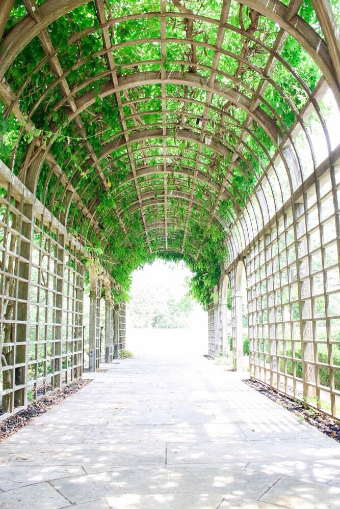 Albemarle Estate at Trump Winery photo 16