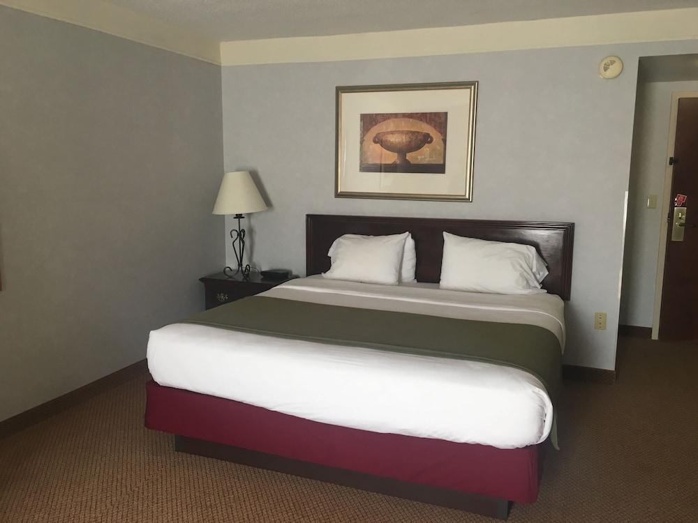 Mountain Inn & Suites photo 18
