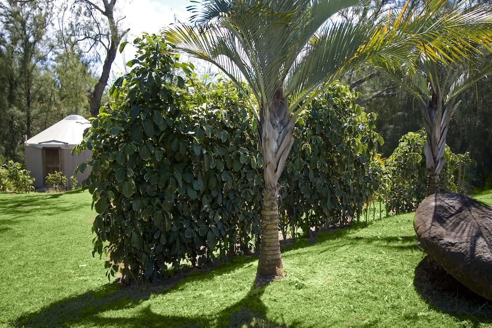 Hawaii Island Retreat photo 29