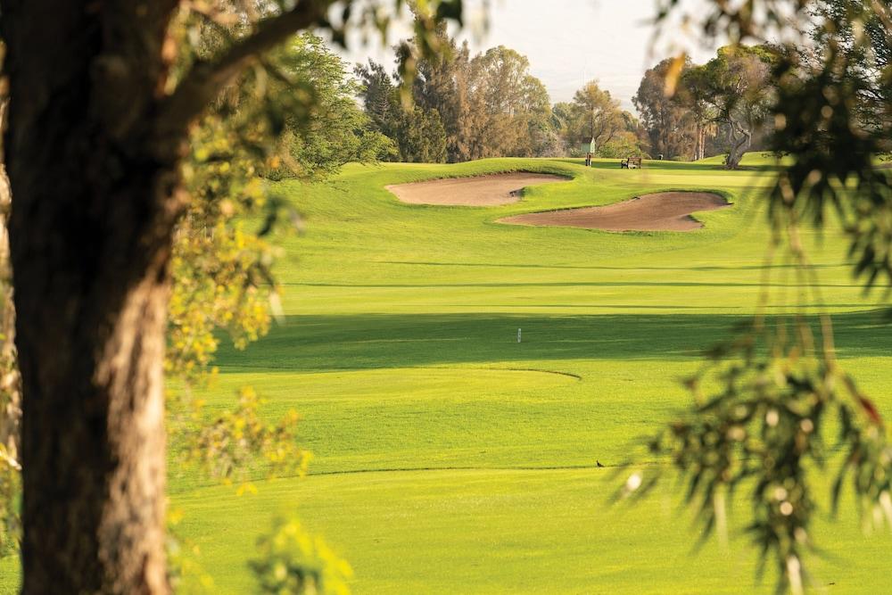 Paniolo Greens At Waikoloa photo 44
