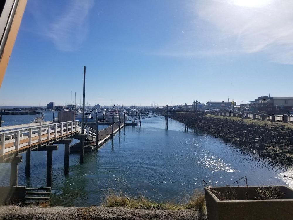 Islander Westport photo 69
