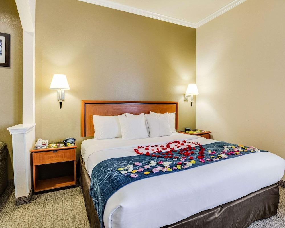 Comfort Suites Deer Park Pasadena photo 18