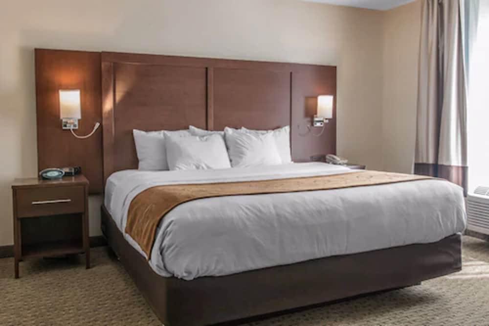 Comfort Suites Wixom - Novi photo 22