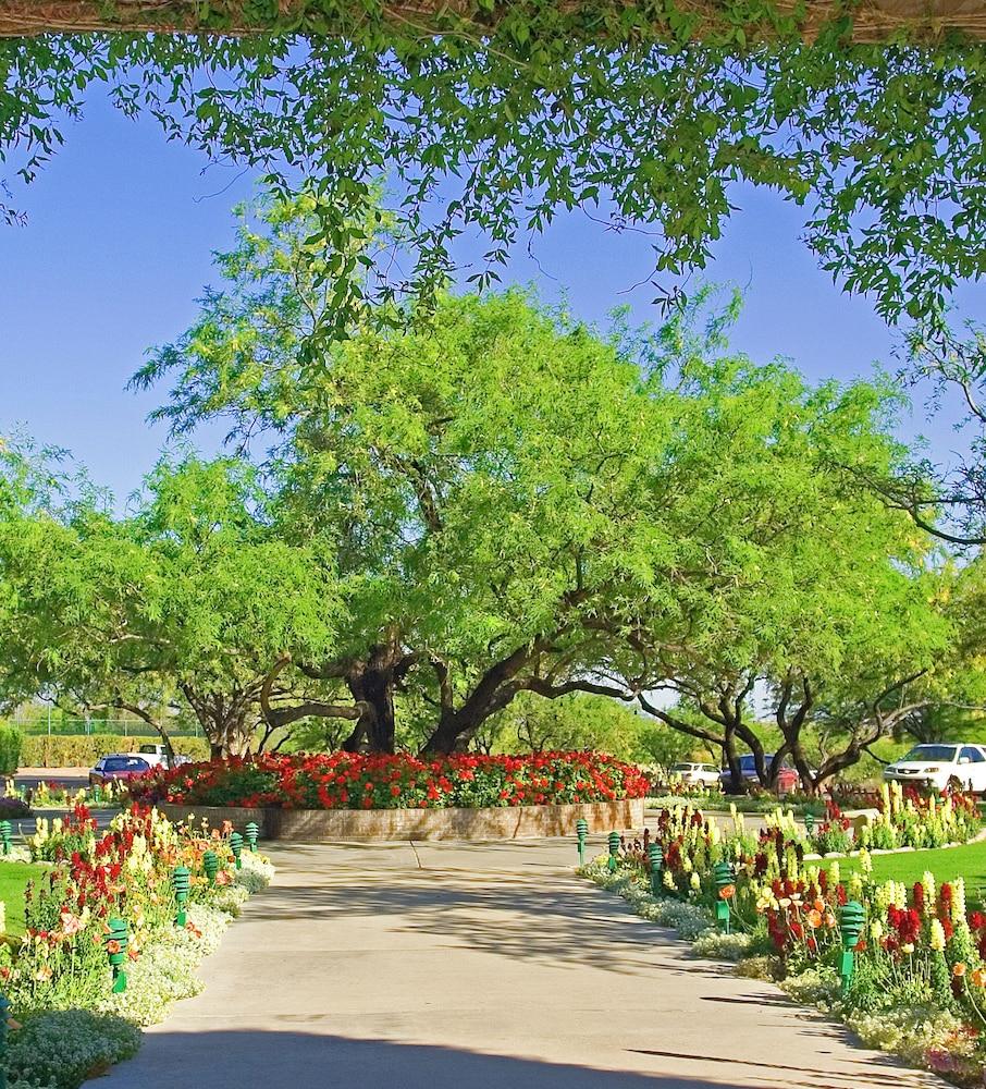 Ventana Canyon Club and Lodge photo 59
