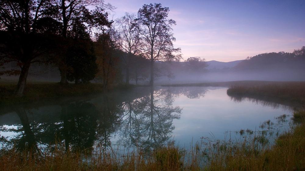 Bright's Creek Lodge photo 18
