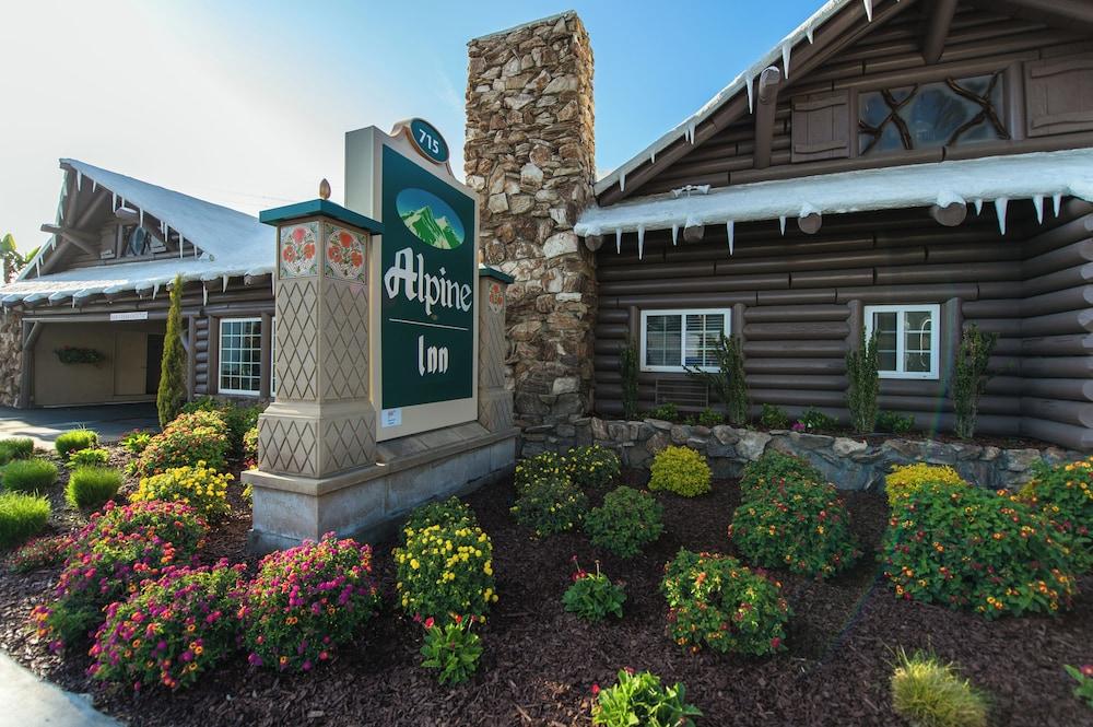 Alpine Inn photo 19