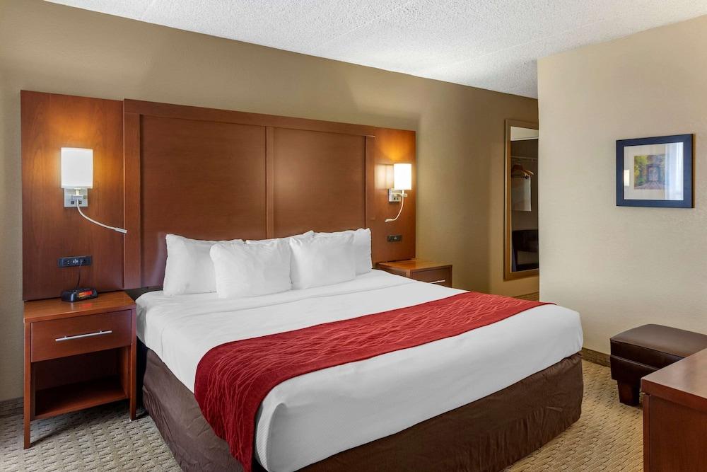 Comfort Inn & Suites Rochelle - DeKalb photo 70