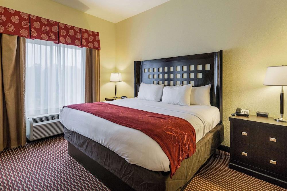 Comfort Suites Leesville near Fort Johnson photo 26