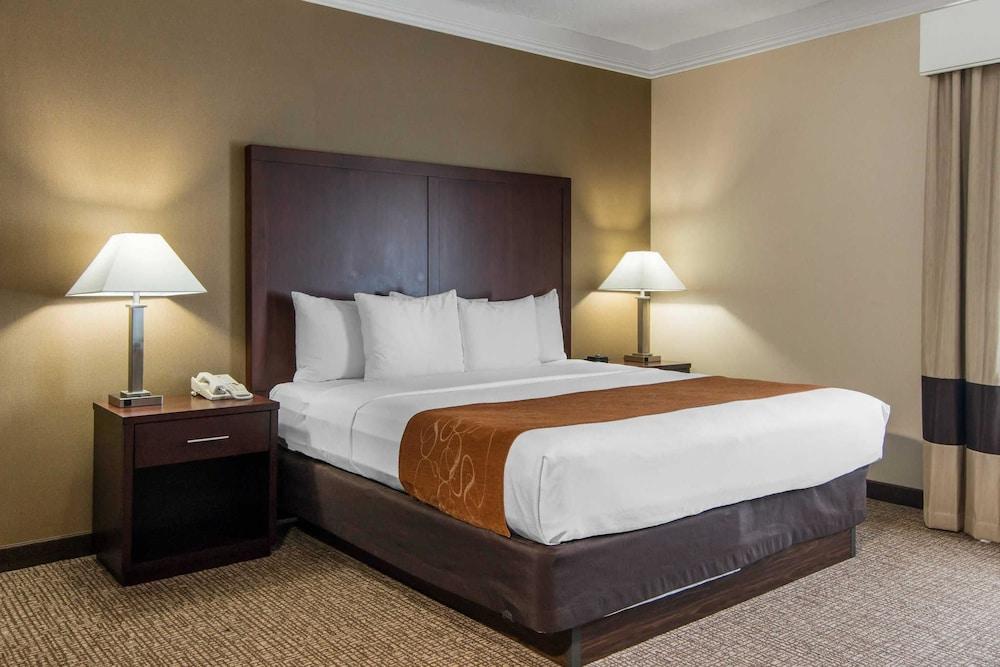 Comfort Suites Linn County photo 46