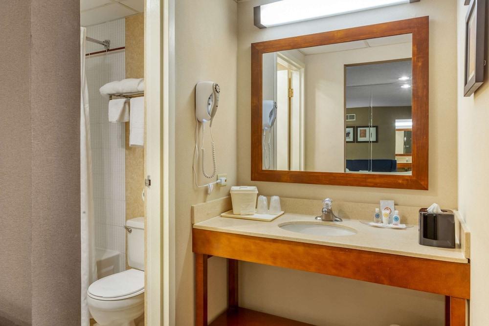Comfort Suites Oakbrook Terrace near Oakbrook Center photo 18