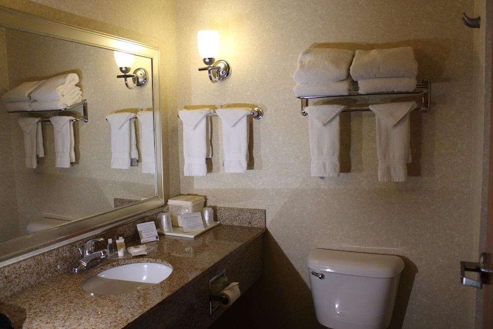 Comfort Suites Canton - Detroit photo 11