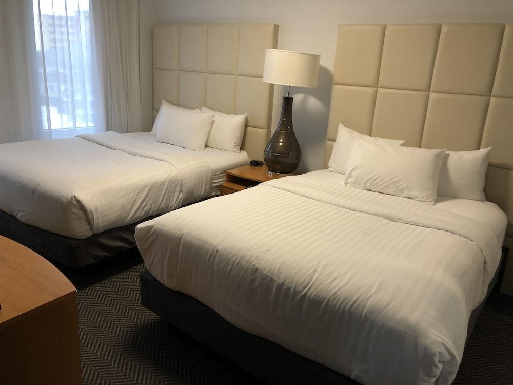 Streamline Hotel photo 35