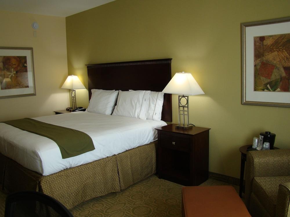 Holiday Inn Express Hotel & Suites Brownfield by IHG photo 40