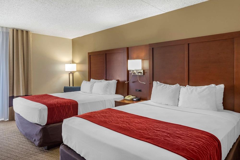 Comfort Inn & Suites Rochelle - DeKalb photo 47