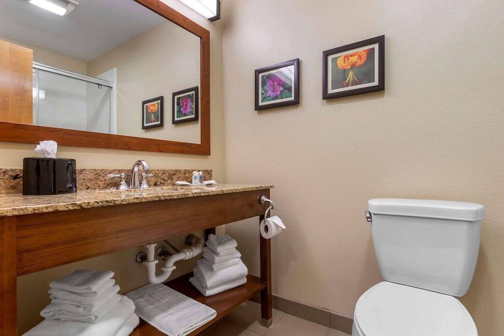 Comfort Suites Boone - University Area photo 25