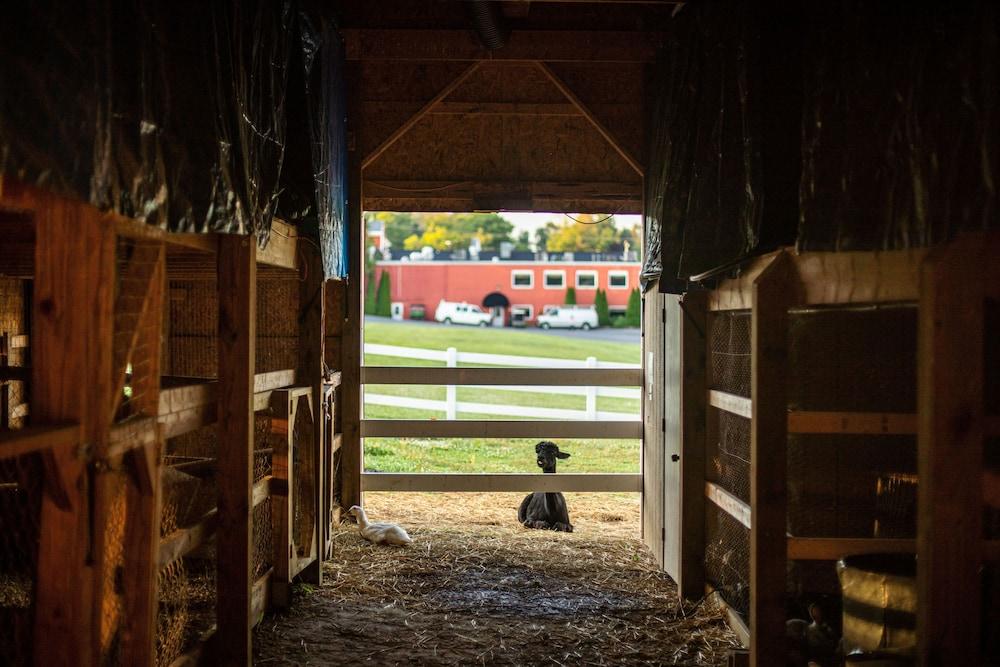 Hersey Farm Resort photo 33
