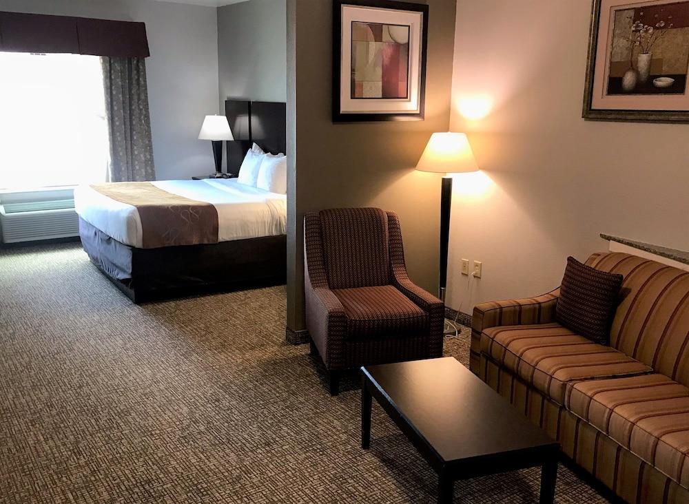 Comfort Suites Bay City East photo 10