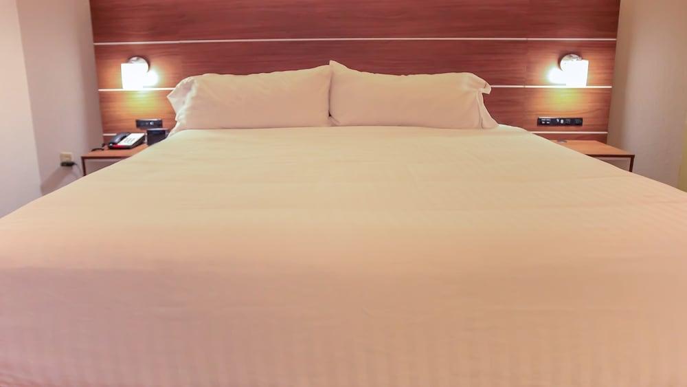 Holiday Inn Express Daytona Beach - Speedway, an IHG Hotel photo 3