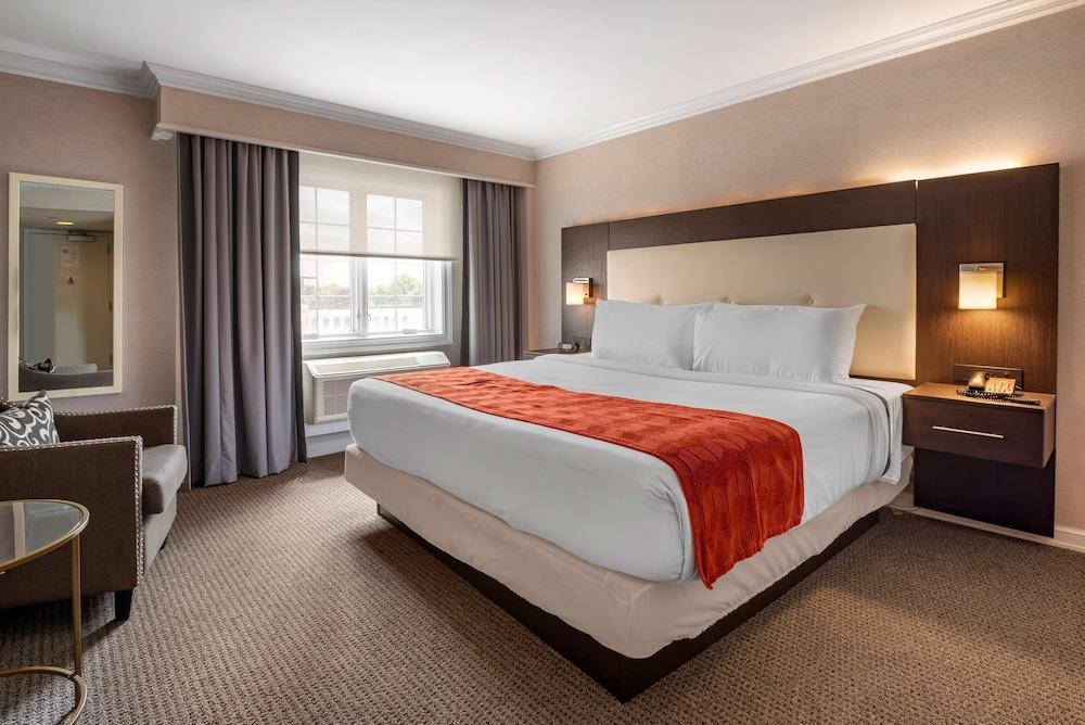 Westminster Hotel photo 13