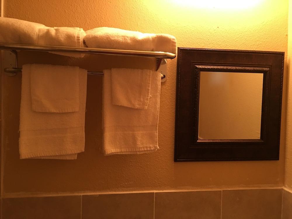 Reddy Inn and Suites photo 30
