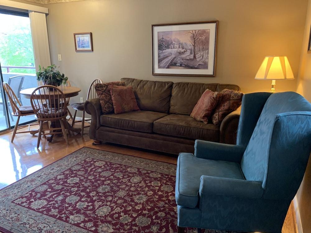 Laurel Inn Condominium photo 83