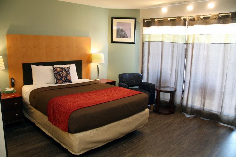 South T Motel photo 26