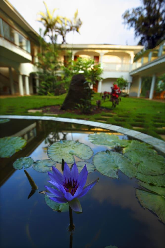 Hawaii Island Retreat photo 64