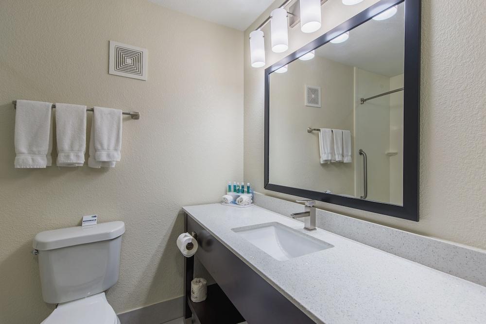 Holiday Inn Express Dandridge by IHG photo 13